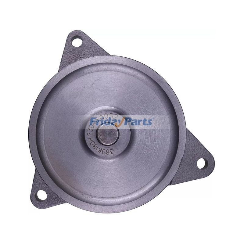 Wasserpumpefür Motor