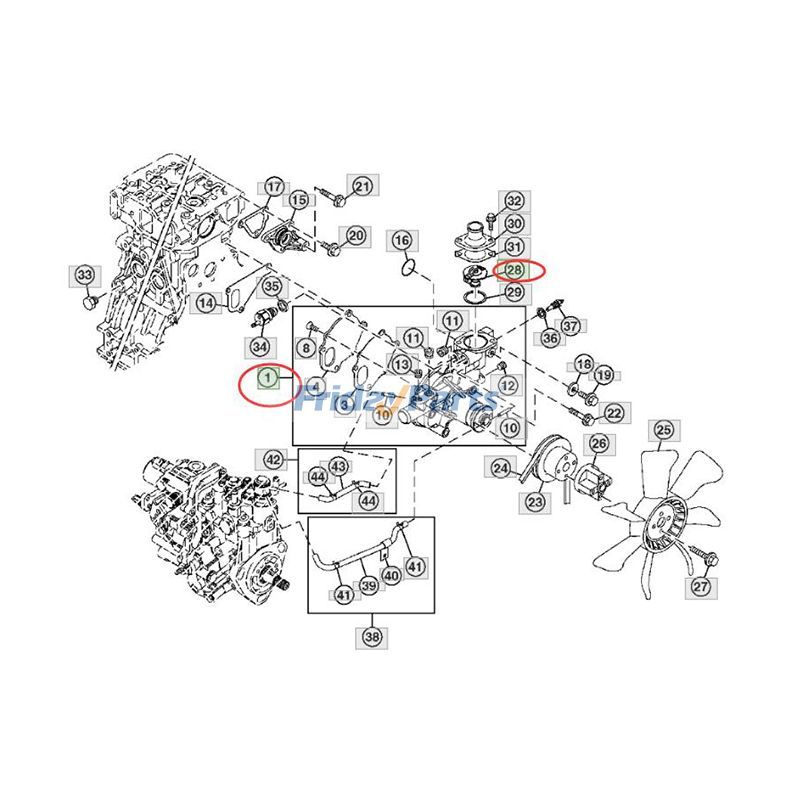 Wasserpumpe und Thermostatbei FridayParts kaufen