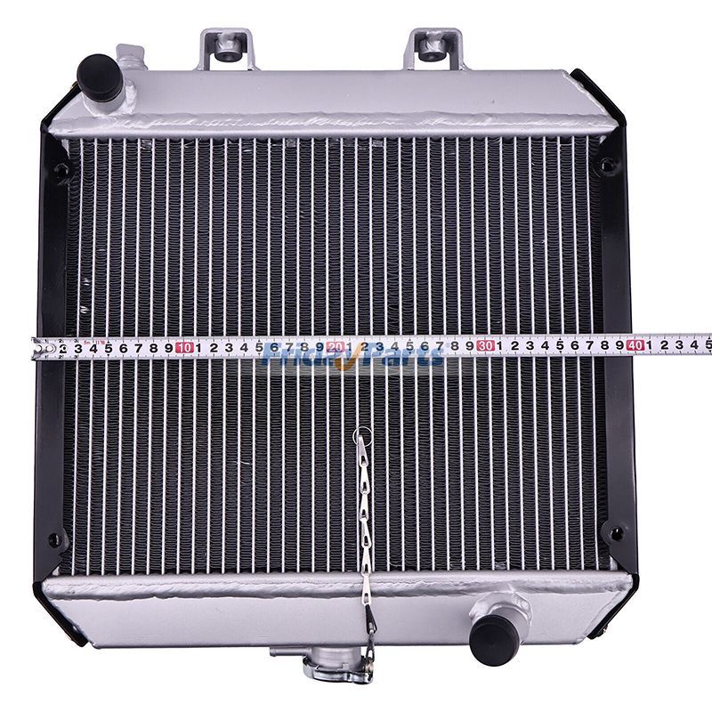 FridayParts Water Tank Radiator Assembly