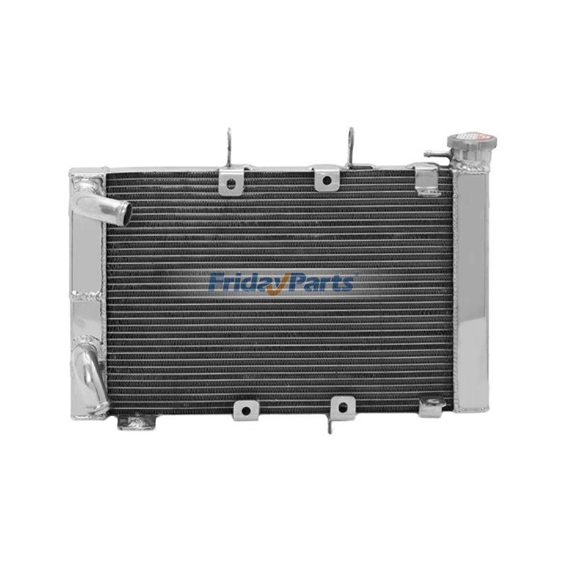Water Tank Radiator for Triumph Motorcycle Trident 660 2020-2024
