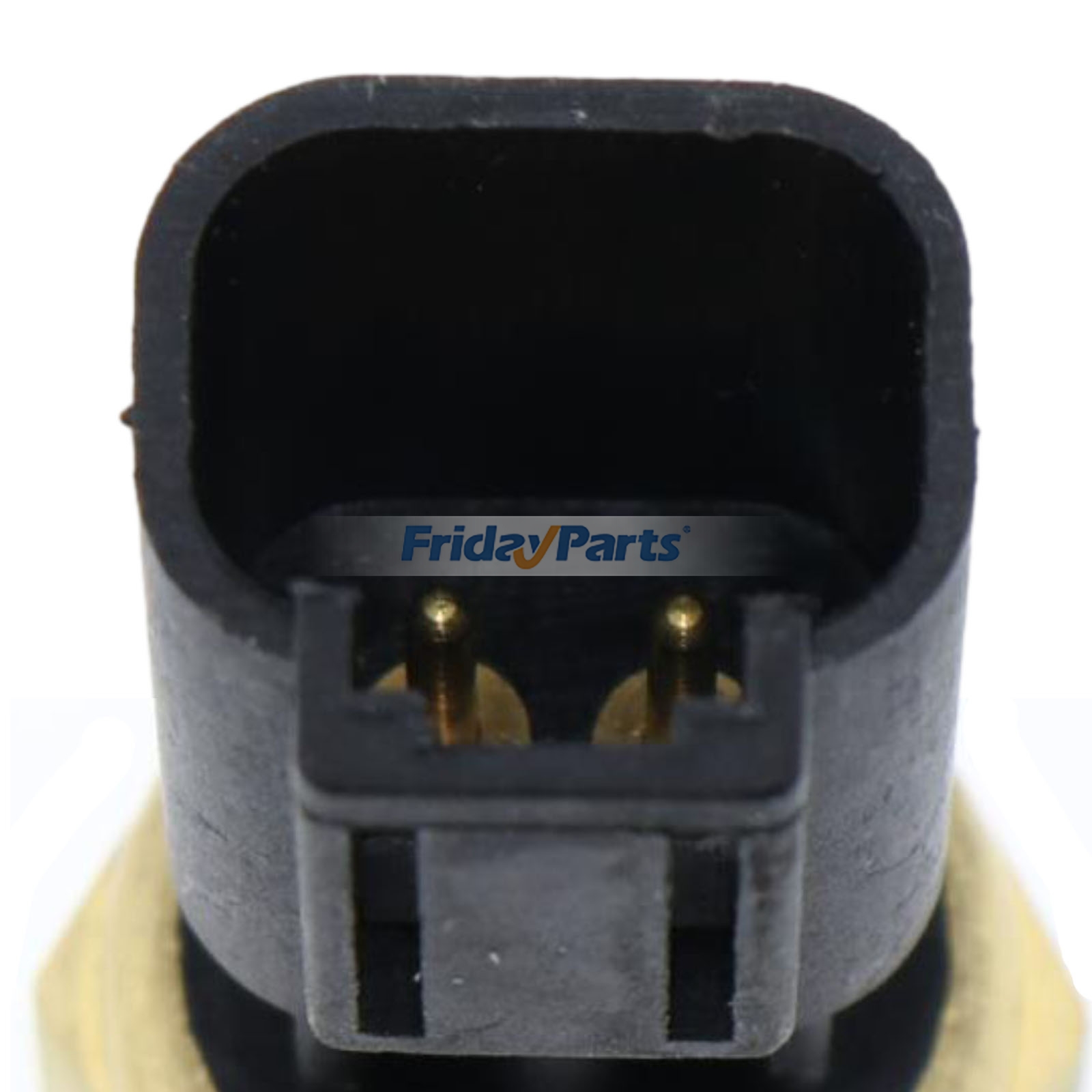 FridayPartsの水温センサー