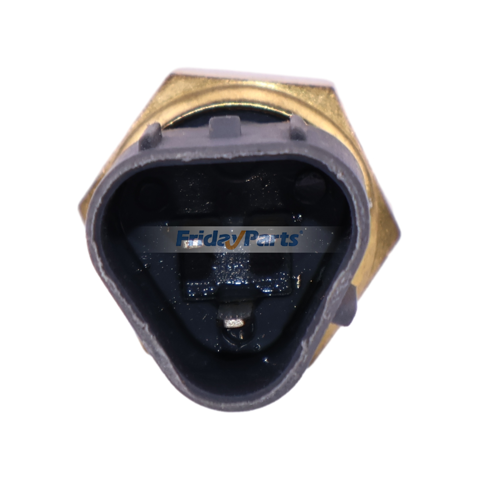 FridayParts Water Temperature Sensor