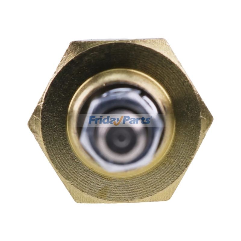 Capteur de température d'eau 