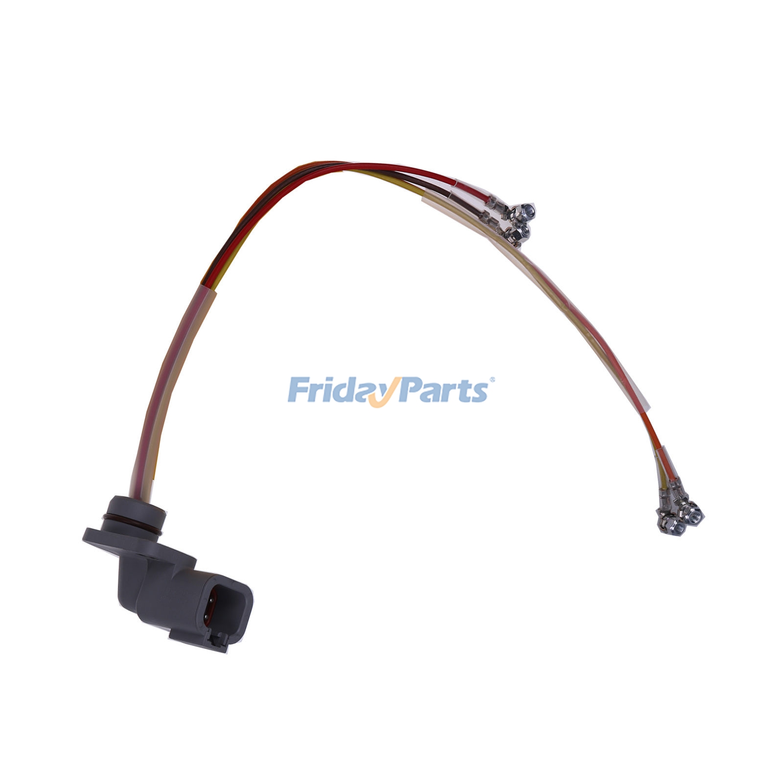 Engine Wiring Harness