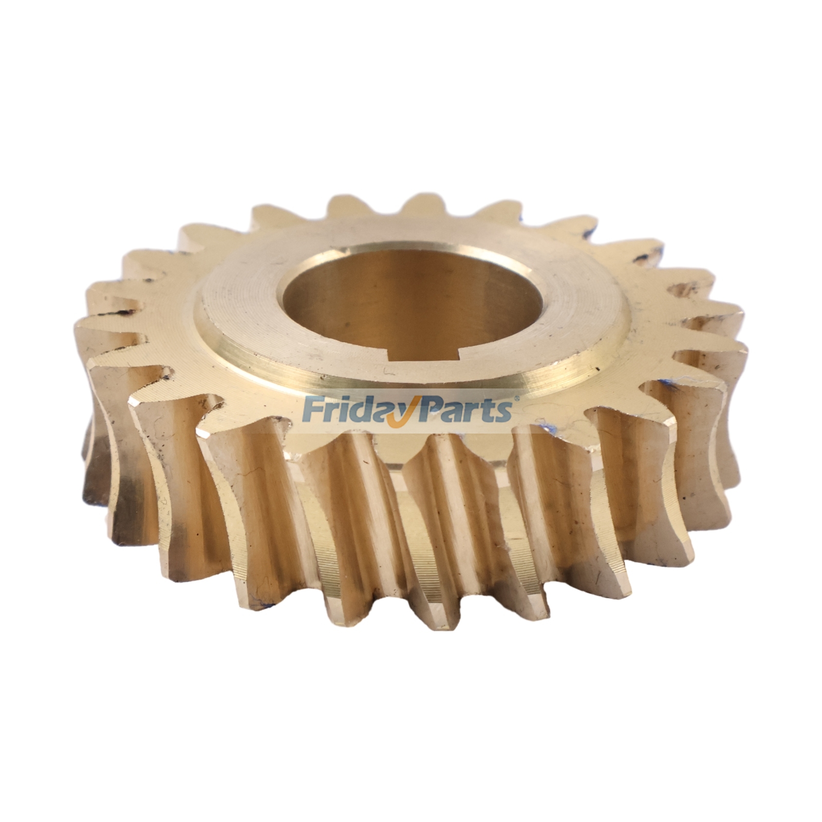 Snow Equipment Worm Gear