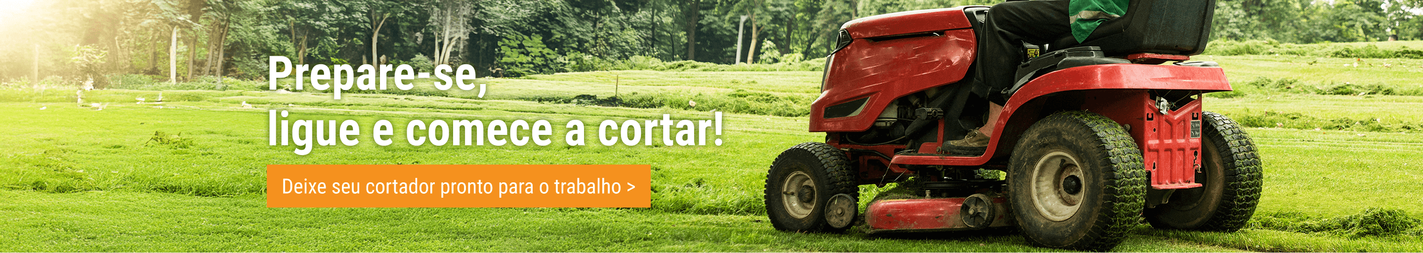 Cortador de grama em bom uso – Compre peças online